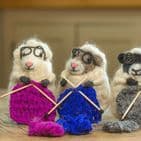 Knitting Nora Felt Sheep by Sew Heart Felt